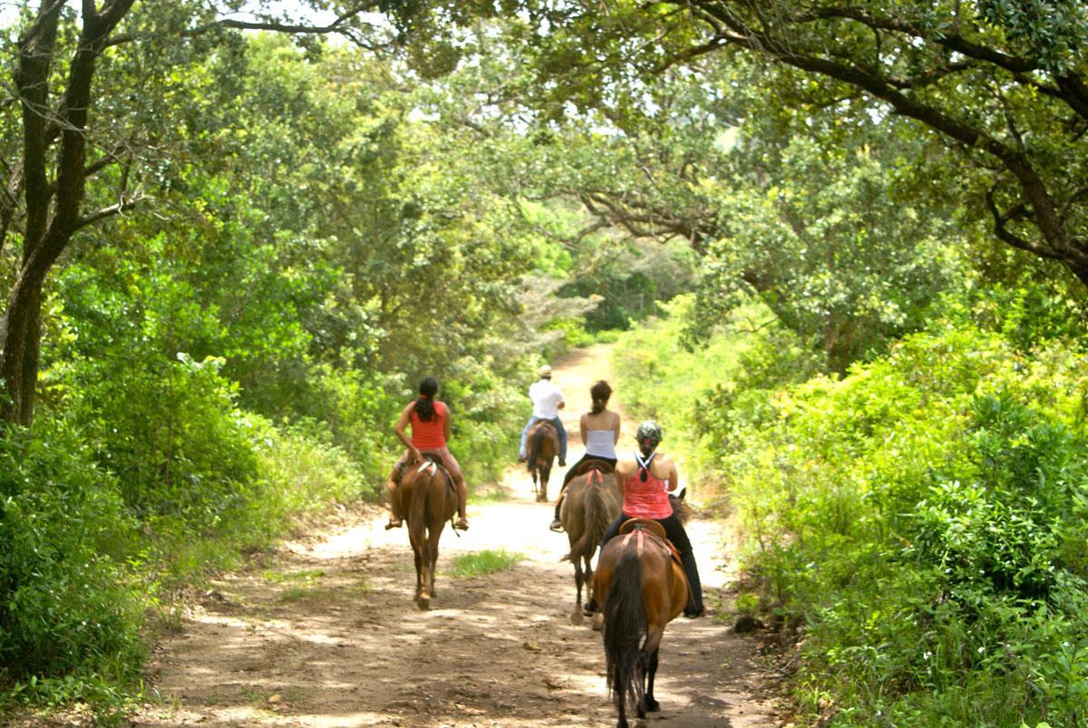 Vida Aventura Ranch Hotell Tanques Exteriör bild